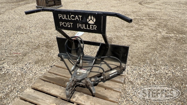 Pull Cat